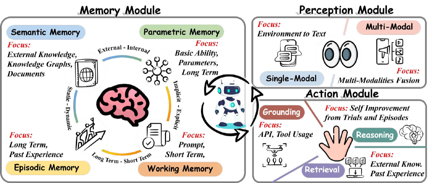 全文核心分类法:agent 被拆成 memory(semantic/parametric/episodic/working 四类,分别沿 外部-内部、显式-隐式、长期-短期、静态-动态 几条轴排布)、perception(单模态/多模态)、action(grounding/retrieval/reasoning)三个模块,每块标注了各自的 focus。读这篇综述基本就是按这张图逐格展开。