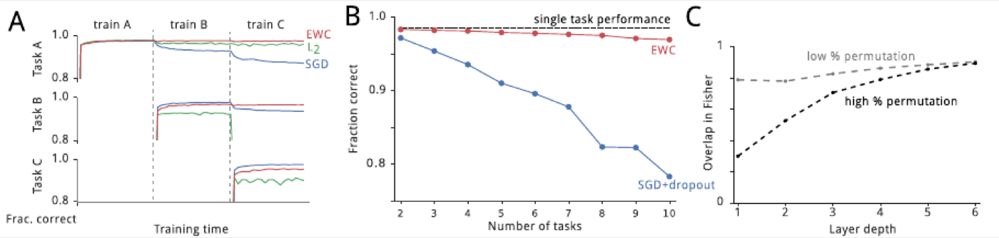 permuted MNIST 主结果。A:顺序训 A/B/C 三个任务的曲线,SGD(蓝)学新忘旧,L2(绿)保旧学不了新,EWC(红)两者兼得;B:任务数增加到 10 时,EWC 平均准确率贴着单任务上限(虚线,~98%),SGD+dropout 掉到 ~78%;C:Fisher 矩阵重叠度随层深变化——任务差异大(黑)时浅层分开用、深层共享。